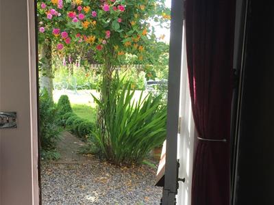 Picture 23